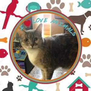 Meet your Posher, Tammy